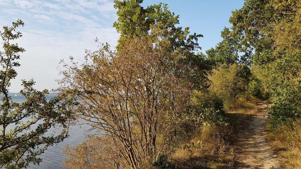 Ferienwohnung Seeblick Altefähr Zewnętrze zdjęcie